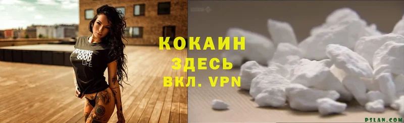 как найти   Нерчинск  кракен как зайти  Cocaine 98% 